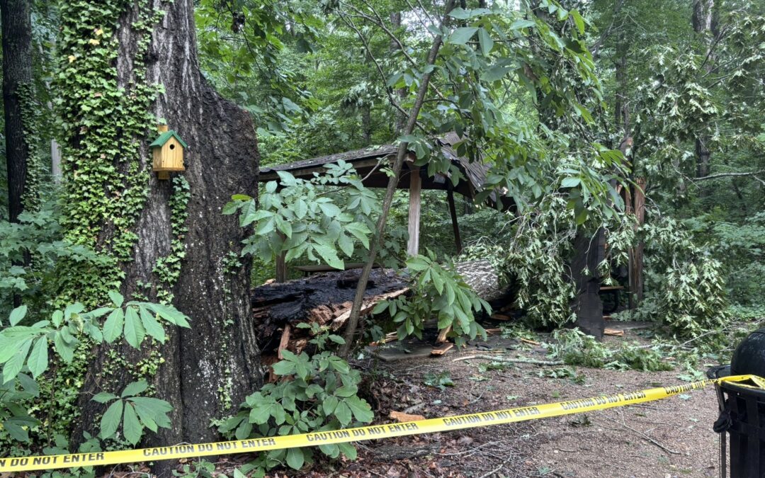 UPDATED: Secondary Shelter at Stanback Educational Forest Closed Until Further Notice