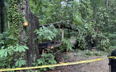 UPDATED: Secondary Shelter at Stanback Educational Forest Closed Until Further Notice