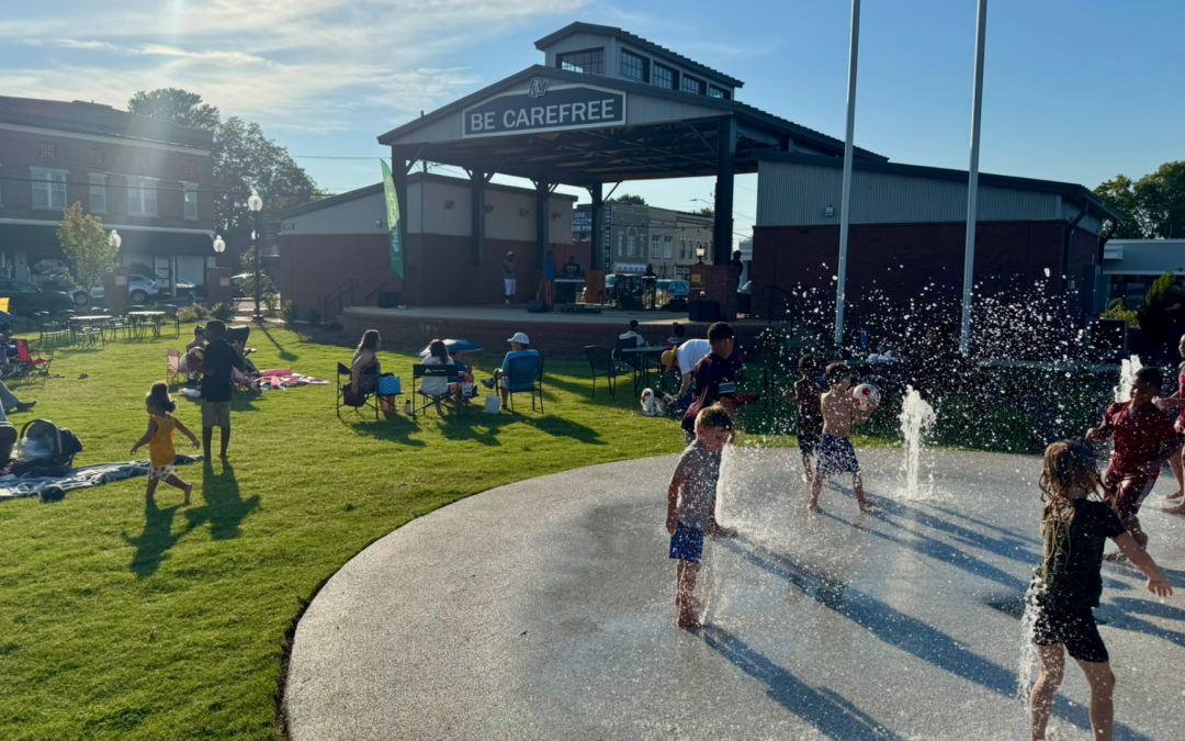 Learn, collaborate, and shape new children’s area in Spencer Town Park
