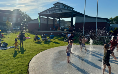 Learn, collaborate, and shape new children’s area in Spencer Town Park